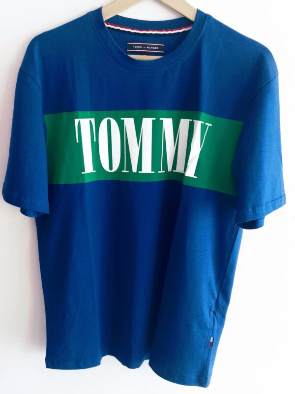 Tommy Hilfiger Desert Sky Cotton Regular Fit Logo Printed T-Shirt